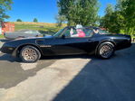 Pontiac Firebird 1981