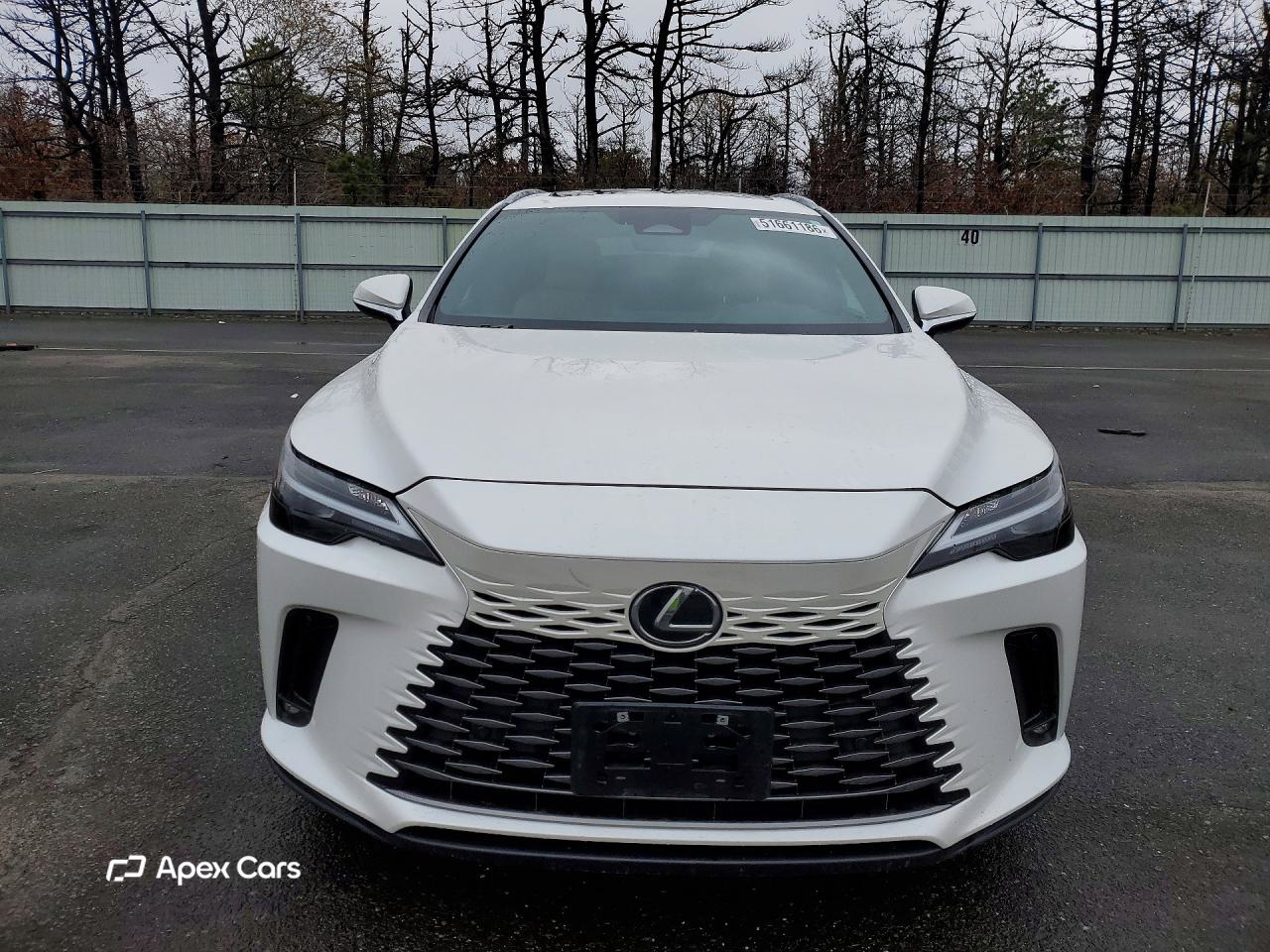 Lexus RX 2024