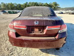 Honda Accord 2011