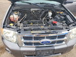 Ford Escape 2012