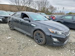 Kia Optima 2015