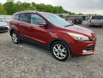 Ford Escape 2015