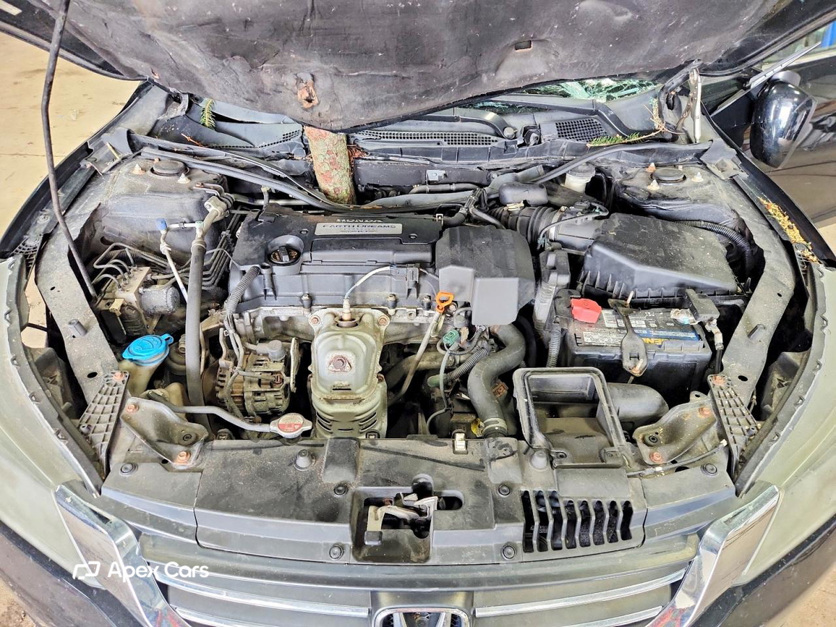 Honda Accord 2013