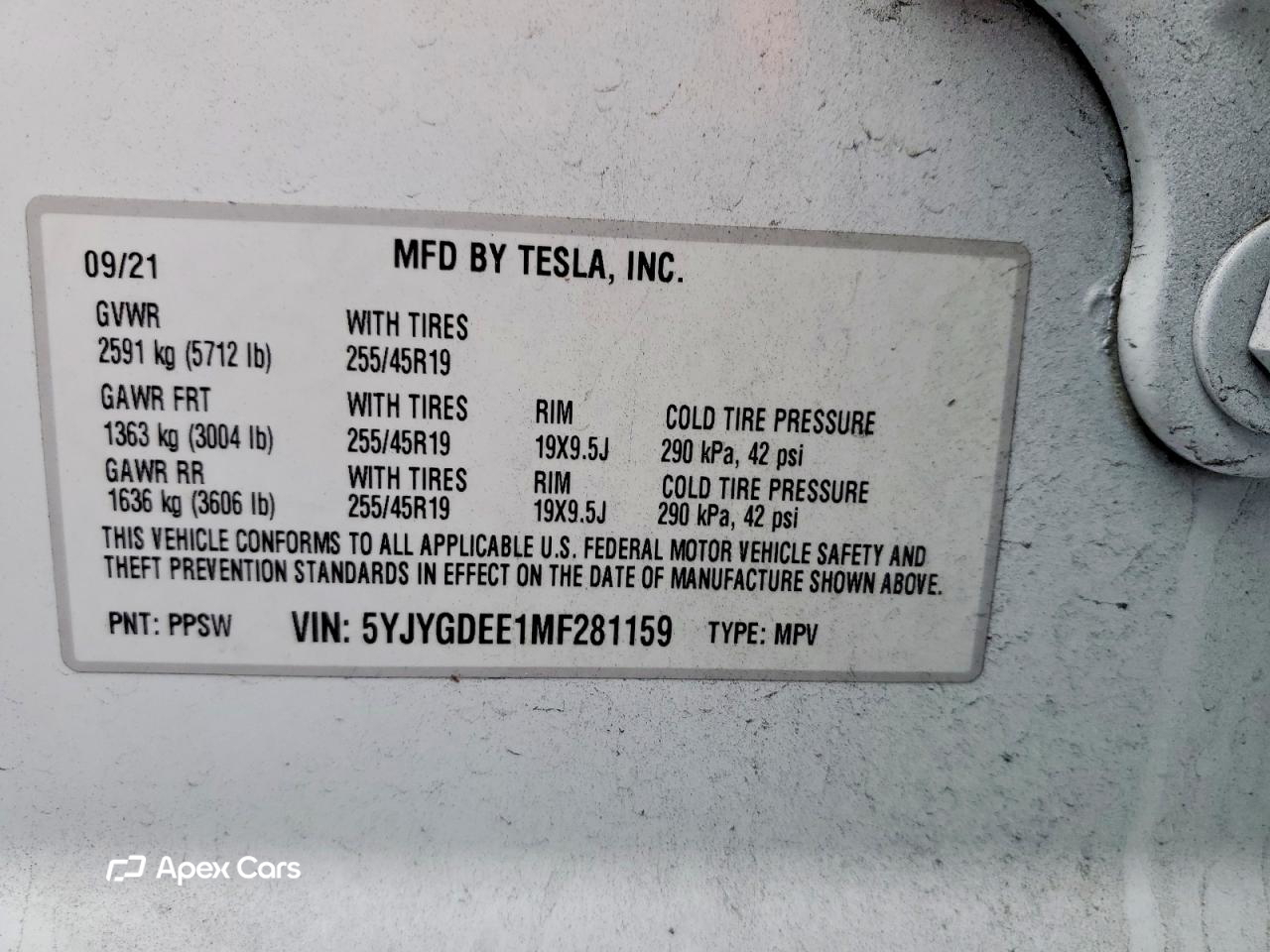 Tesla Model Y 2021