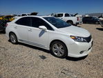 Lexus HS 2010