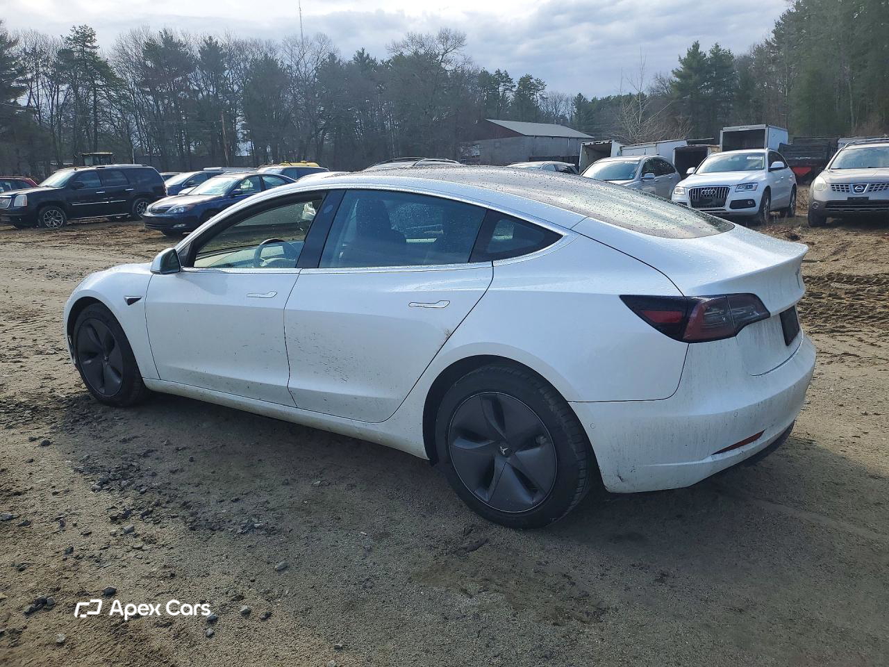 Tesla Model 3 2020