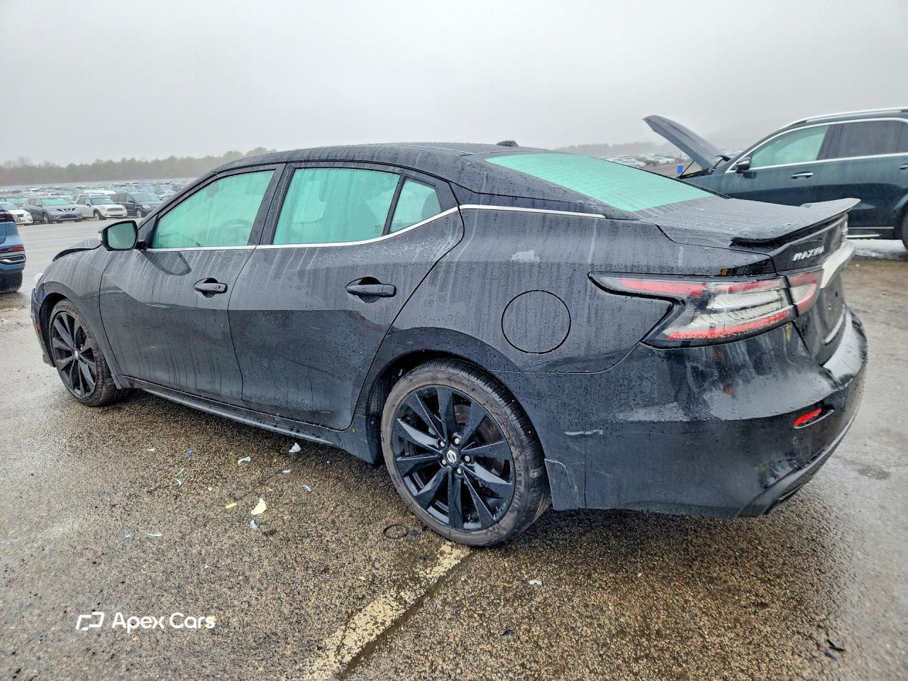 Nissan Maxima 2019