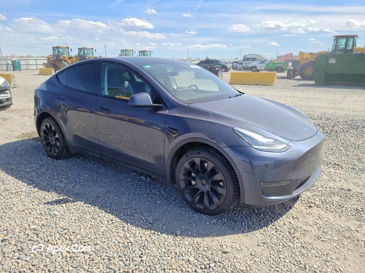Tesla Model Y 2020