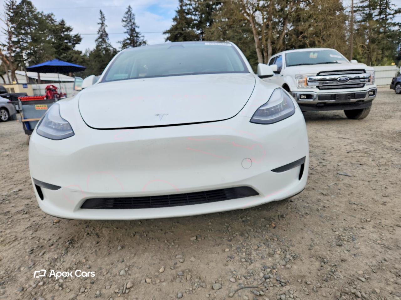 Tesla Model Y 2020
