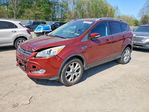 Ford Escape 2014