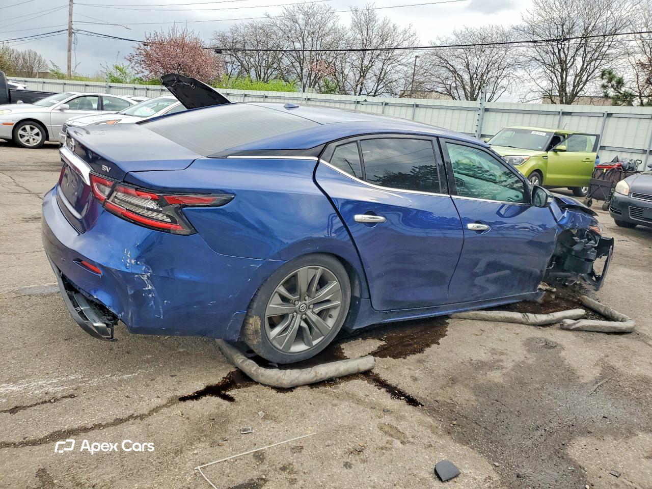 Nissan Maxima 2019