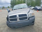 Dodge Dakota 2005