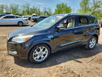 Ford Escape 2015