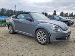 Volkswagen Beetle 2013