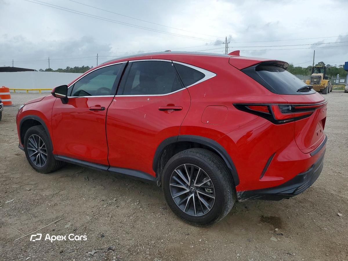 Lexus NX 2024