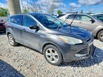 Ford Escape 2016