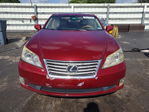 Lexus ES 2010