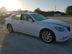 Lexus LS 2008