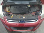 Ford Escape 2016
