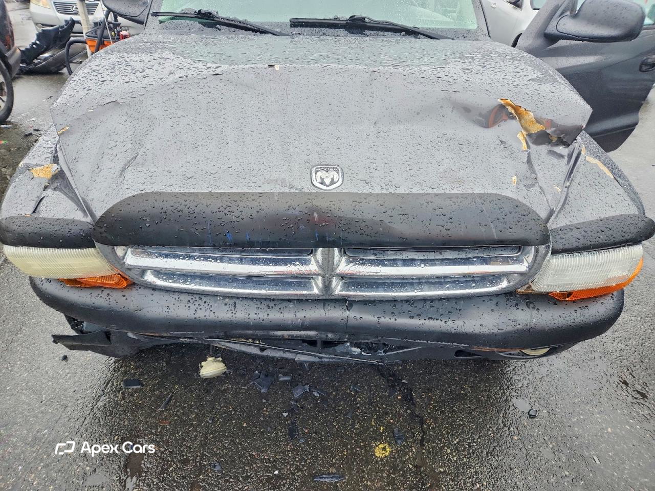Dodge Dakota 2004