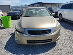 Honda Accord 2010