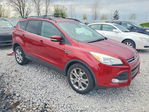 Ford Escape 2013