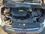 Ford Escape 2013
