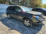 Kia Sorento 2012