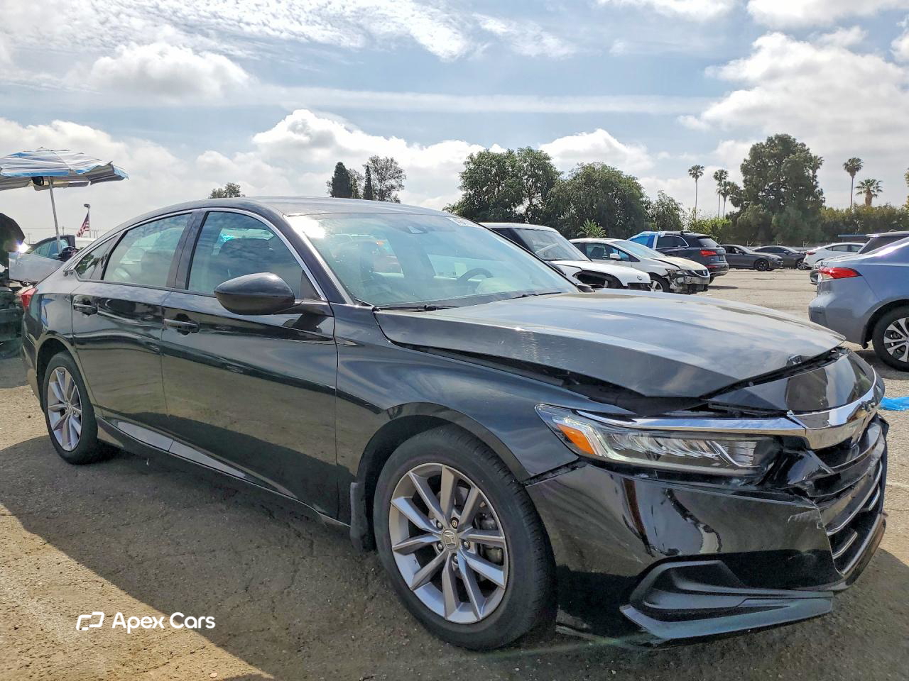 Honda Accord 2021