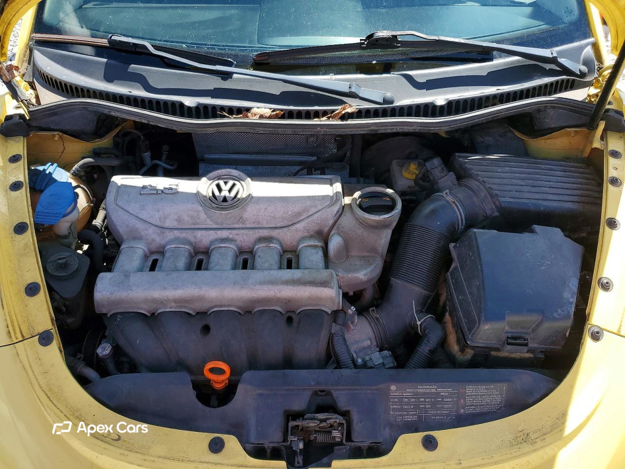Volkswagen Beetle 2009