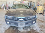 Chevrolet Camaro 2010