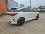Lexus RX 2024