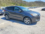 Ford Escape 2016
