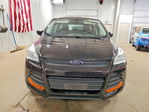 Ford Escape 2013
