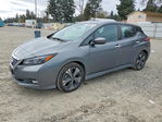 Nissan Leaf 2020