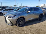 Lexus NX 2024