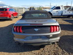 Ford Mustang 2023