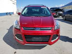 Ford Escape 2016