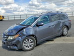 Honda Odyssey 2014