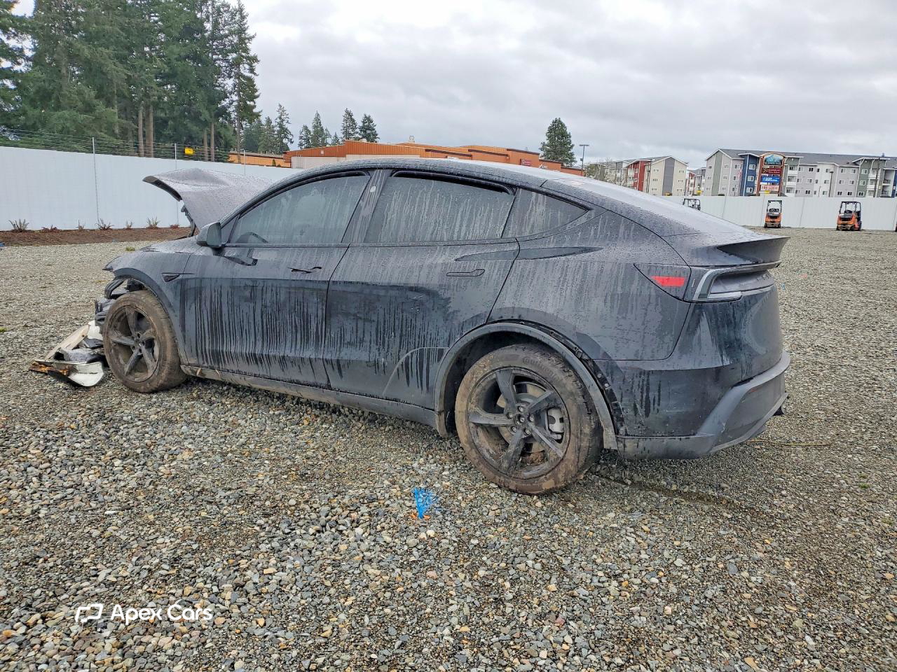 Tesla Model Y 2026