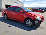 Toyota Corolla 2011