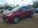 Ford Escape 2014