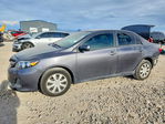 Toyota Corolla 2011
