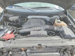 Ford F-150 2013
