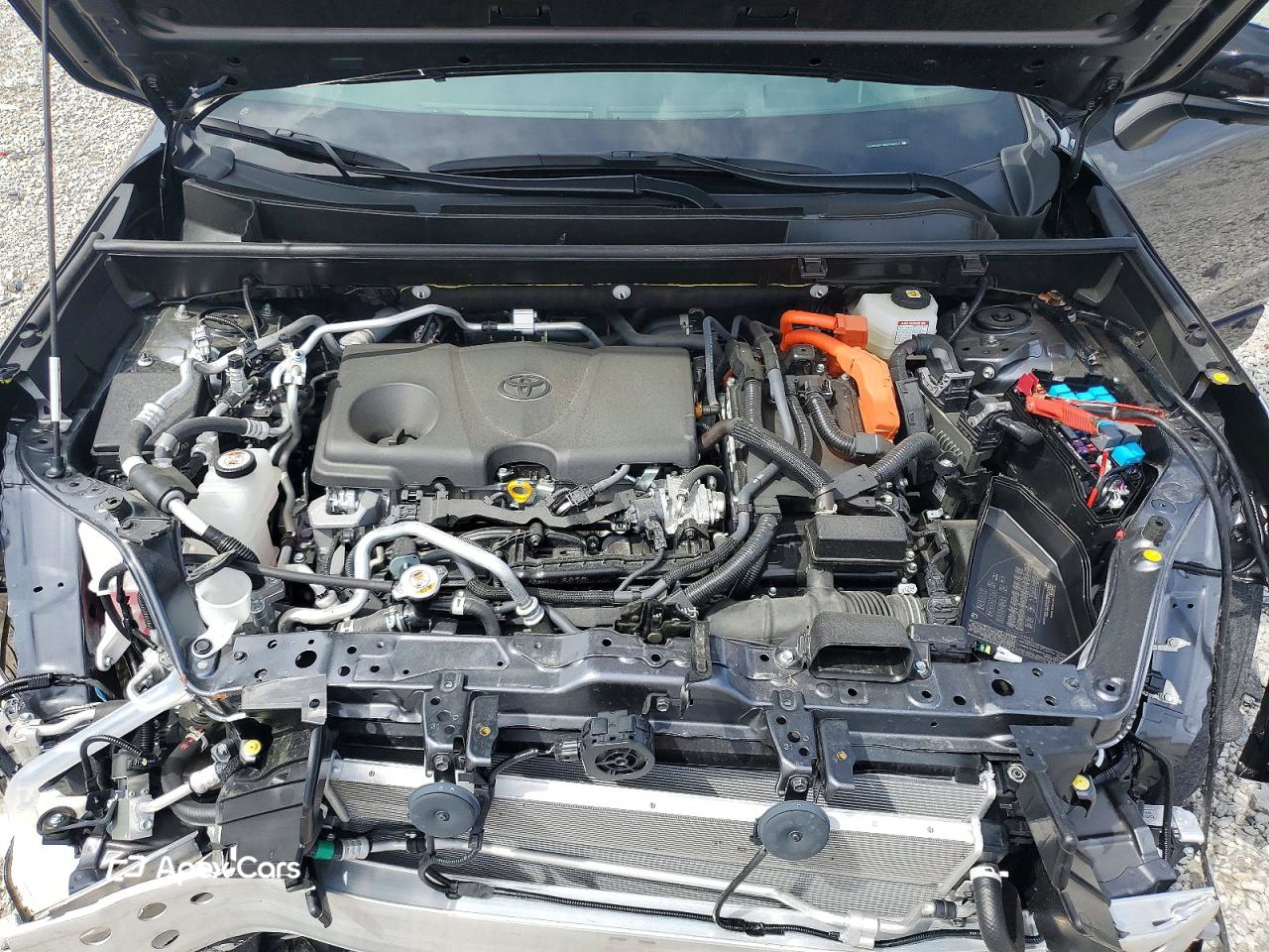 Toyota RAV 4 2025