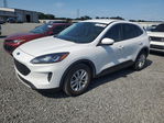 Ford Escape 2021