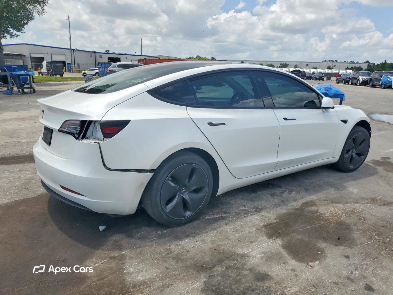 Tesla Model 3 2019