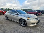Honda Accord 2013