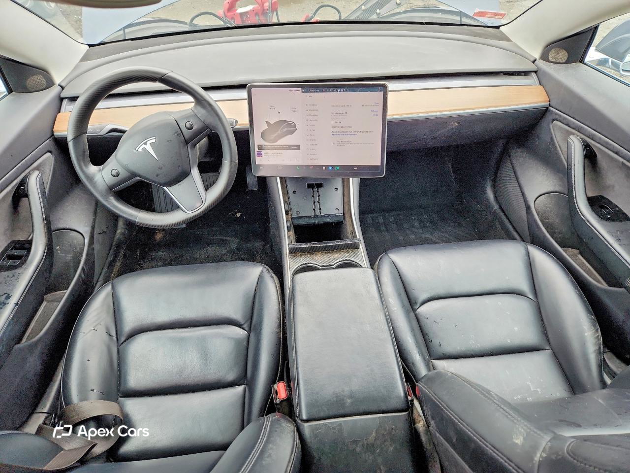 Tesla Model 3 2019