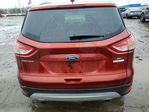 Ford Escape 2014